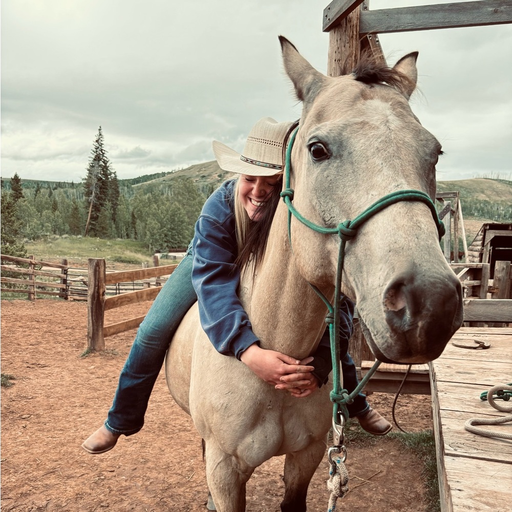 Meet your Posher, Taylor